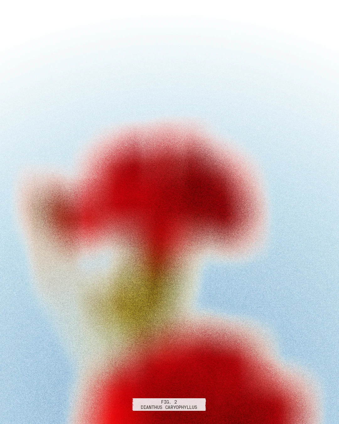 web-FlowerExploration-Fig2