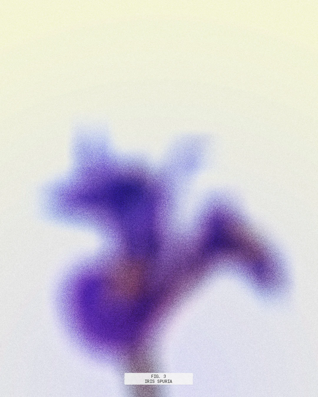 web-FlowerExploration-Fig3