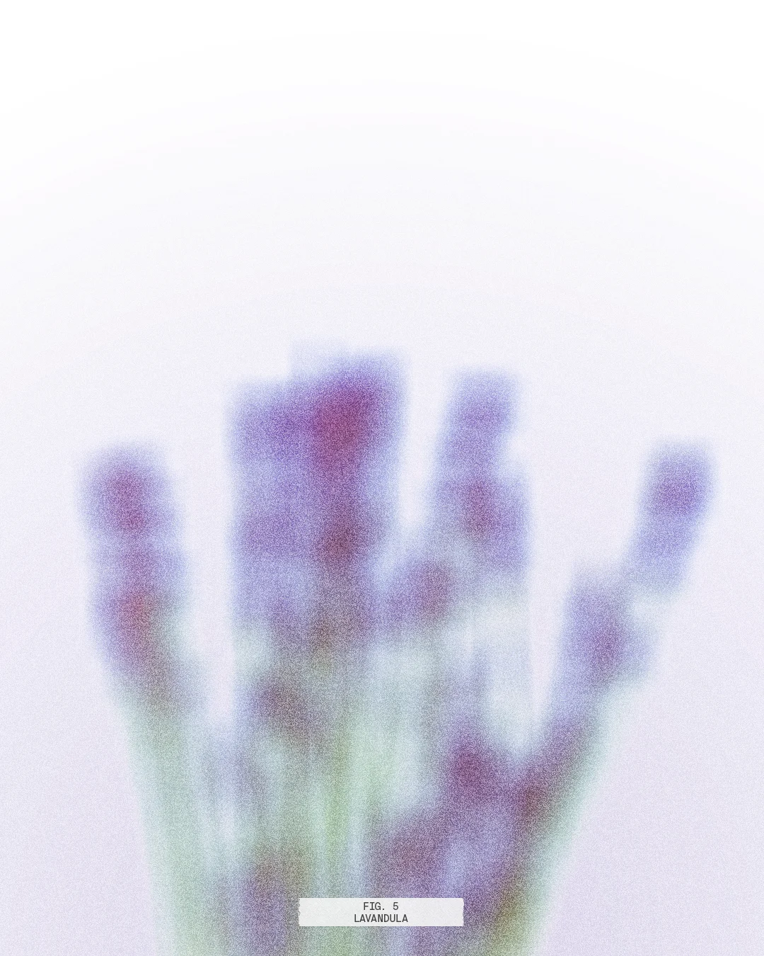 web-FlowerExploration-Fig5