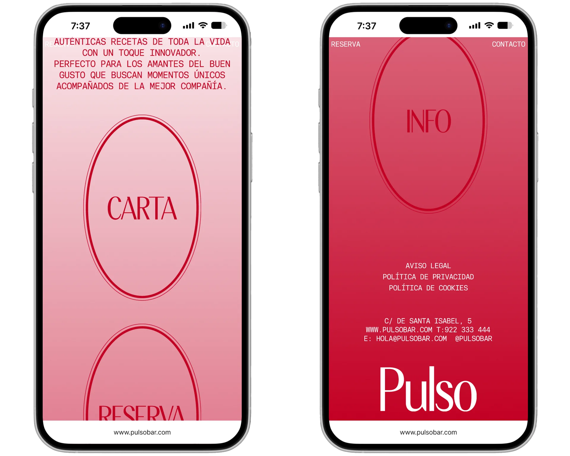 web-pulso-14